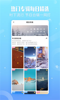 小鳥壁紙正版4