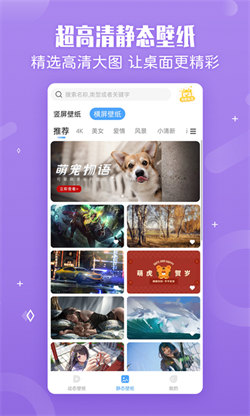 小鳥壁紙正版1