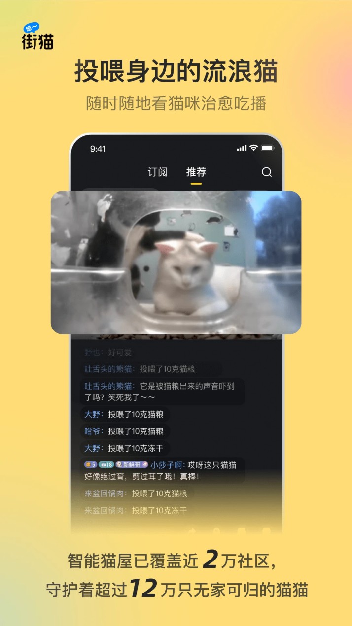 哈啰街貓官方版1