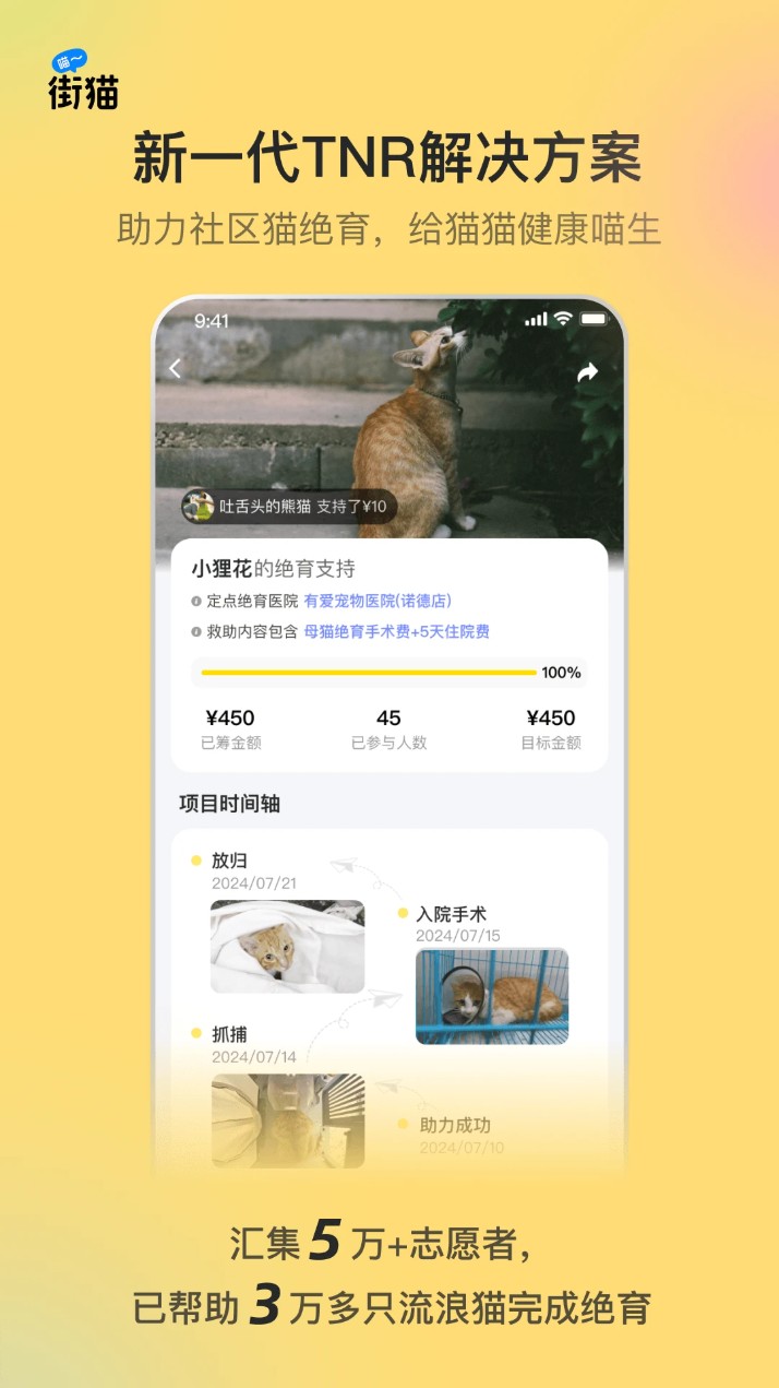 哈啰街貓官方版0