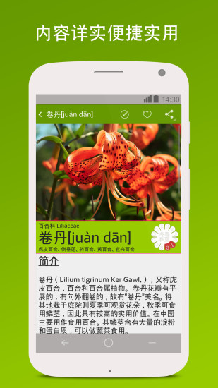 花世界(花卉百科)1