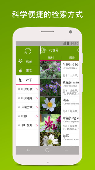 花世界(花卉百科)2