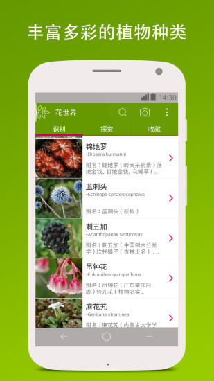 花世界(花卉百科)3