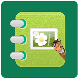 動(dòng)感相冊(cè)影集app