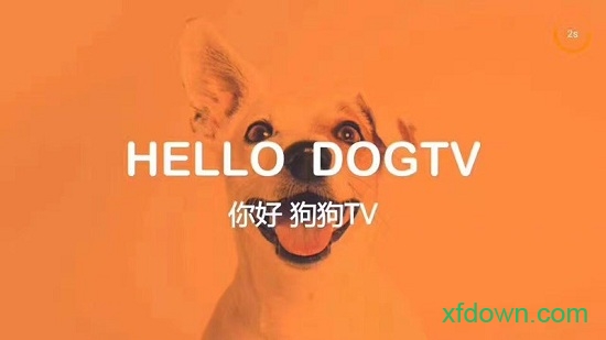 狗狗tv0