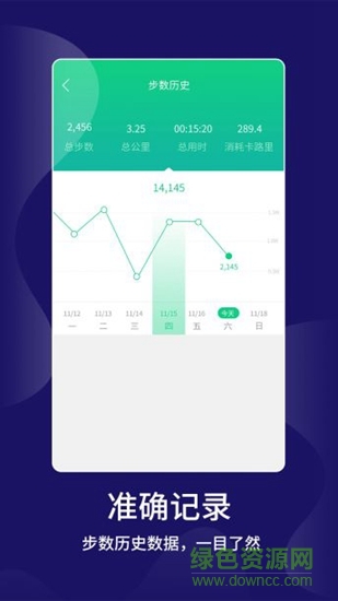 計步大師3