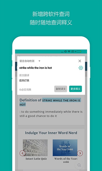 必應詞典app2