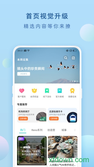 我的oppo最新版0