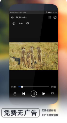 52看看APP 最新版2
