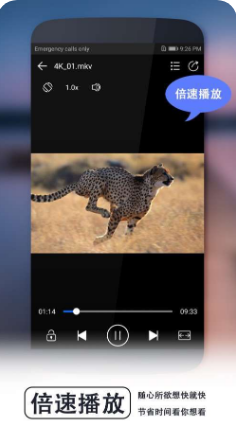 52看看APP 最新版3