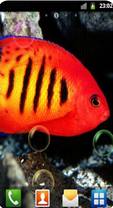 水族館動(dòng)態(tài)壁紙 漢化版v2.0.01