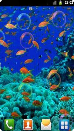 水族館動(dòng)態(tài)壁紙 漢化版v2.0.02