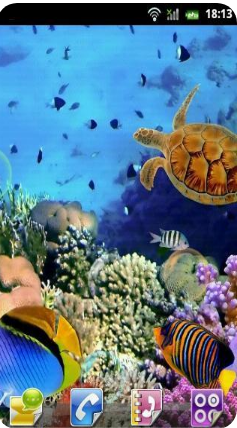 水族館動(dòng)態(tài)壁紙 漢化版v2.0.03