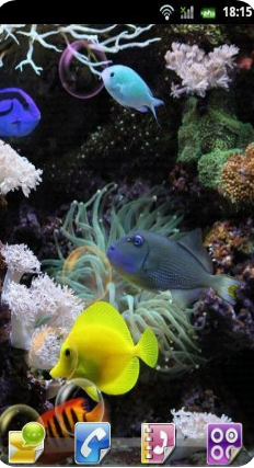 水族館動(dòng)態(tài)壁紙 漢化版v2.0.04