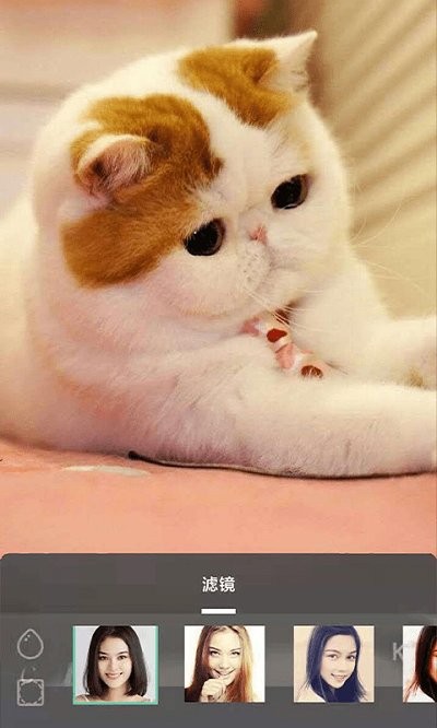 摸魚魚 v4.5安卓版2