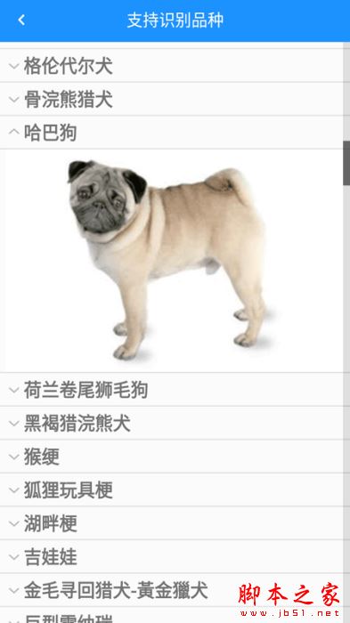 萬能拍照識別(狗狗品種識別) for Android V1.0.7 安卓手機版2