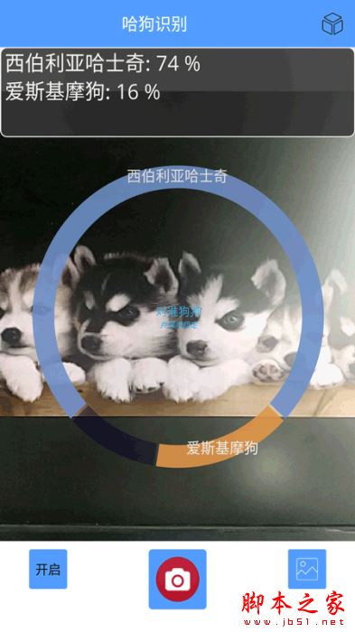 萬能拍照識別(狗狗品種識別) for Android V1.0.7 安卓手機版0