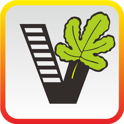51自學網APP v1.9.9安卓官方版