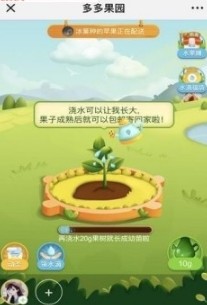 拼多多多多果園 官方版vv6.36.00