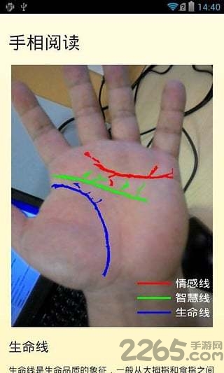 手相大師 安卓版v1.42