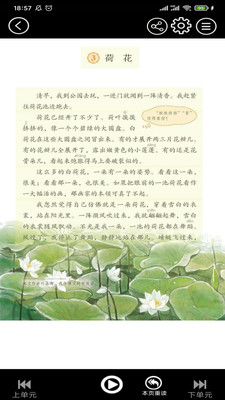 三年級語文下冊2022 v3.1139最新版0
