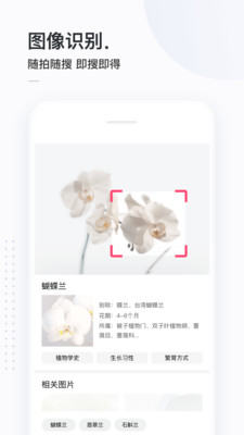 簡單搜索APP 純凈版v4.0.22