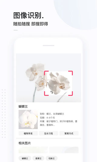 簡單搜索APP V3.9.2安卓永無廣告版2