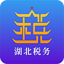 湖北稅務楚稅通 官方版v6.0.1