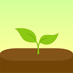 forest最新版