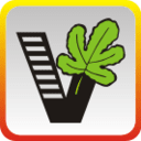 我要自學網APP V1.9.26安卓破解版