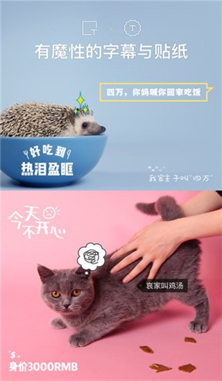 貓餅APP 安卓版V2.0.00