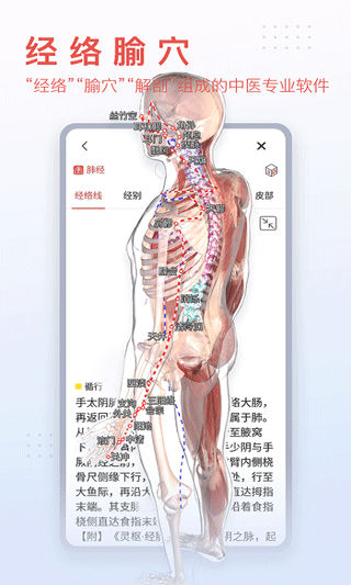3dbody解剖app v8.7.10安卓版0