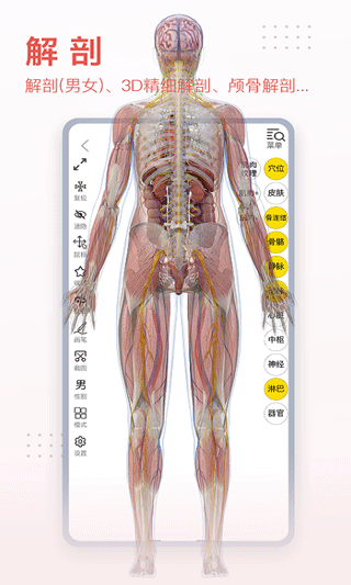 3dbody解剖app v8.7.10安卓版2