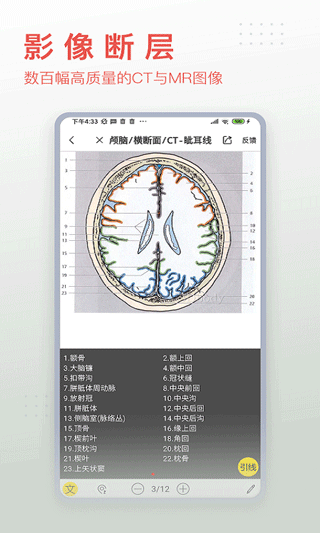 3dbody解剖app v8.7.10安卓版4