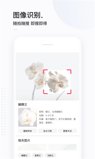 簡單搜索APP 安卓去廣告版V3.9.53