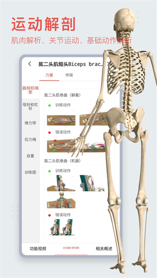 3Dbody解剖APP 最新版v8.7.230