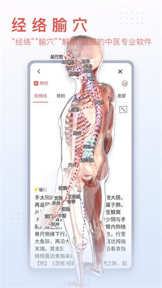 3Dbody解剖APP 最新版v8.7.232
