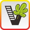 我要自學(xué)網(wǎng)APP 安卓破解版V1.9.28