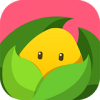 美柚孕期最新免費版 安卓版V6.0.5