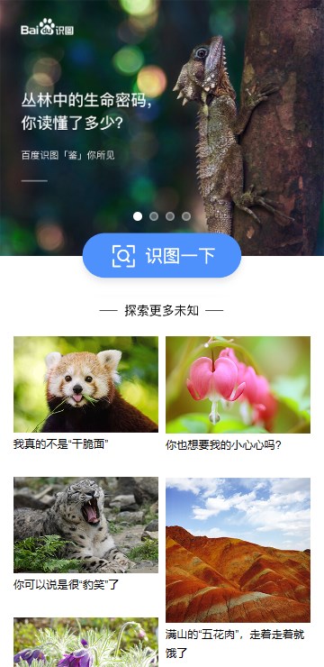 百度識(shí)圖app安卓版 v13.37.0.110