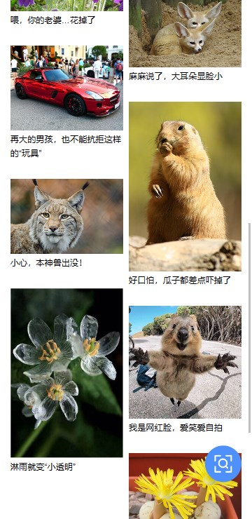 百度識(shí)圖app安卓版 v13.37.0.111