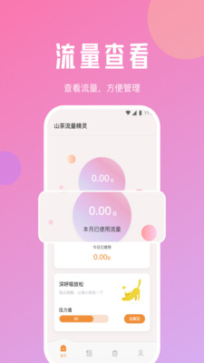 山茶流量精靈(手機流量監控軟件) v2.6.2 安卓版3