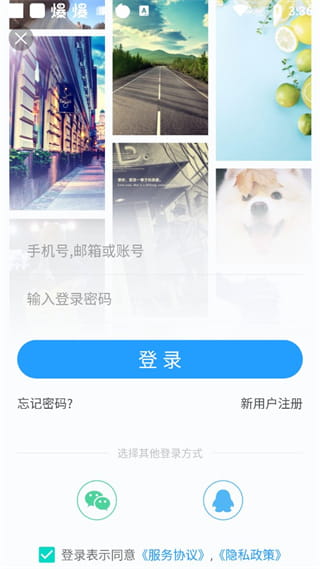 搞趣壁紙(免費手機壁紙軟件) v1.009 安卓手機版4