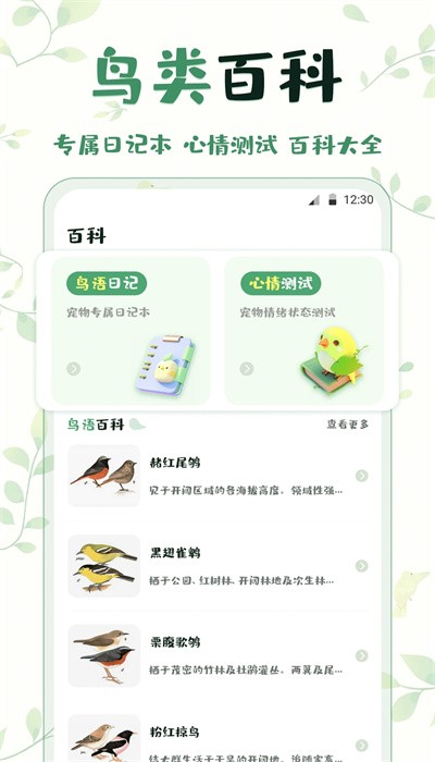 鳥語翻譯最新版本1