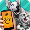 動物翻譯器手機版 v1.1