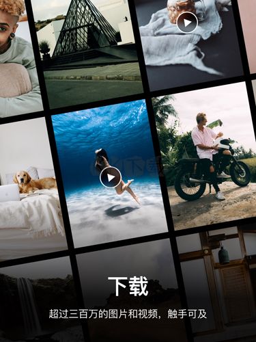Pexels官方app v5.6.2中文版3