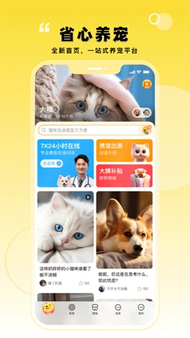 寵胖胖正版 v5.2.0免費版2
