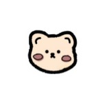 浣熊ios15啟動器安卓版 v1.9.8中文版