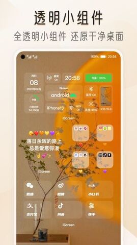 iscreen正版 v1.8.802