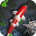 魚池動態壁紙安卓版 v1.95